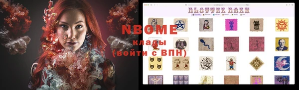 шишки Михайловск