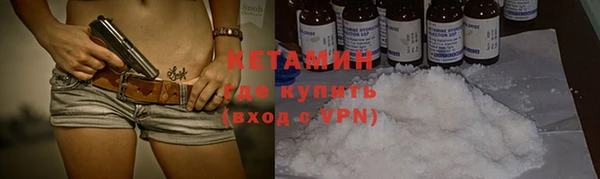 шишки Михайловск