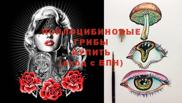 шишки Михайловск