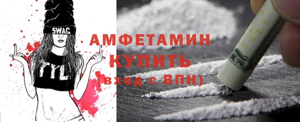 шишки Михайловск