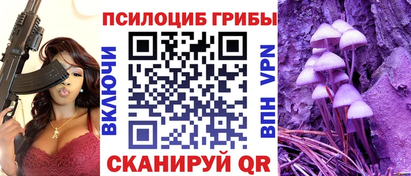Купить Апатиты Галлюциногенные грибы MAGIC MUSHROOMS